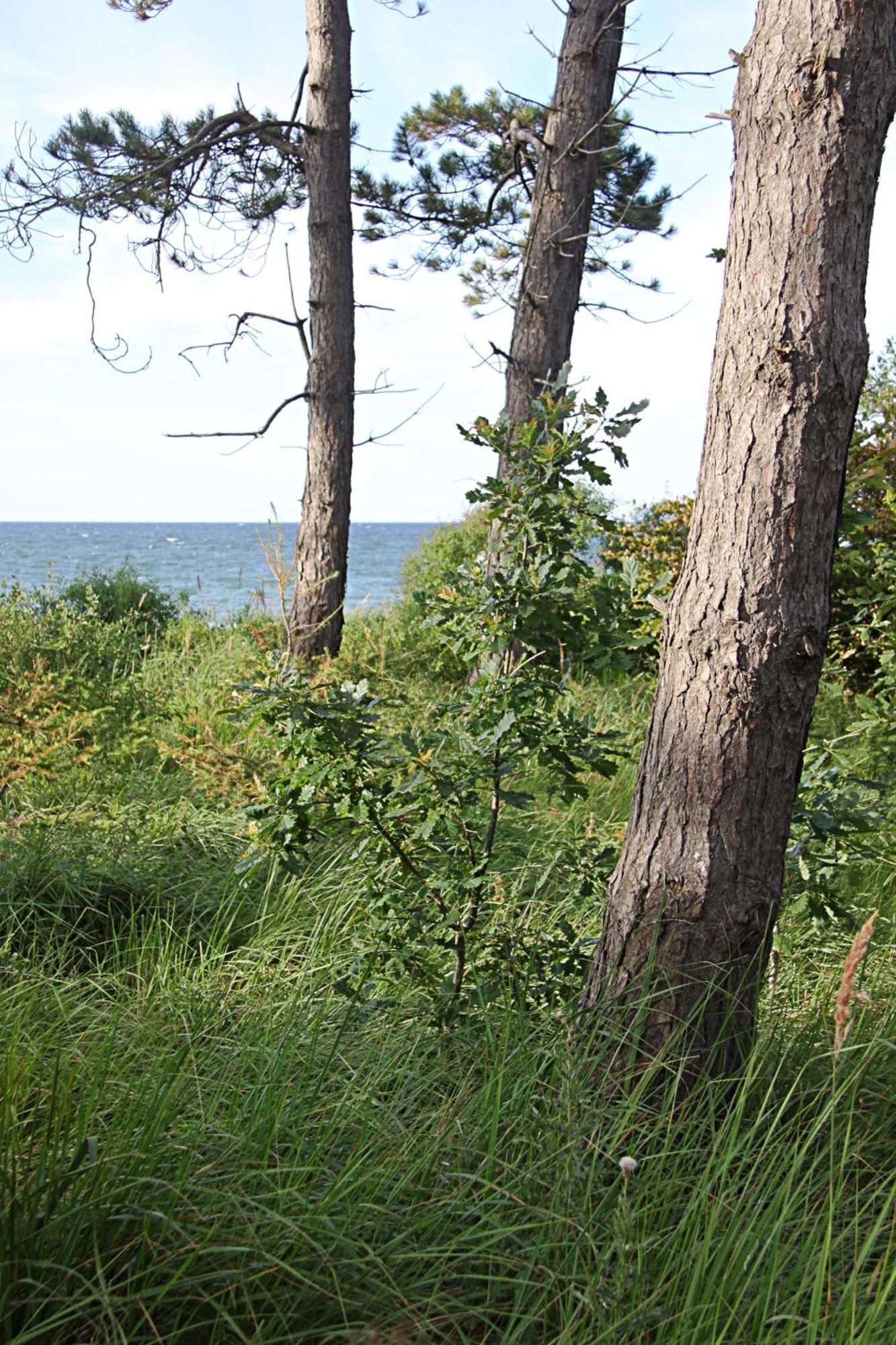 Let'S Sea - 2 Bedroom - Premium Baltic Apartment With Front Sea View Garden And Spa Access Gąski Exterior foto